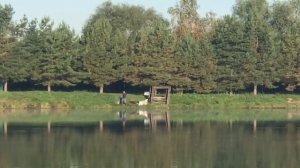 поимка карпа на большом водоёме