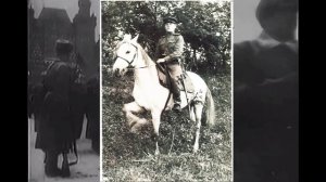 Тимофей Поляшов Мой герой