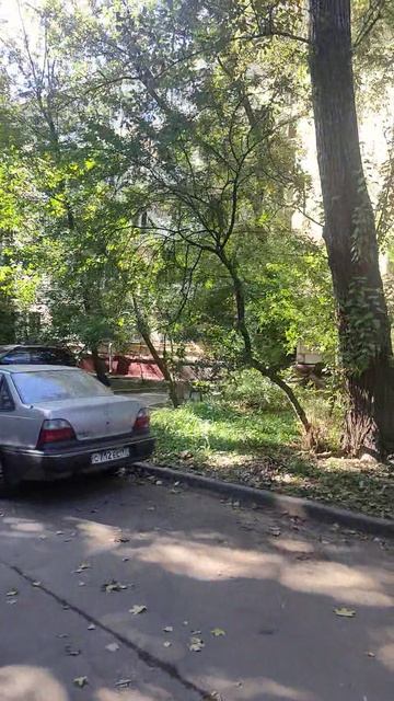 VID20250911102449 смотреть онлайн