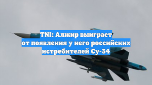 TNI: Алжир выиграет от появления у него российских истребителей Су-34