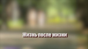 «Жизнь после жизни»