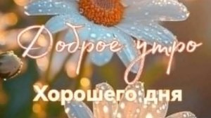 Доброе утро,друзья! Музыкальная открытка пожелание