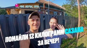 ПОЙМАЛИ 12КГ САЗАНОВ ЗА ВЕЧЕР | ОБЬ, ДВЕ ВОДЫ