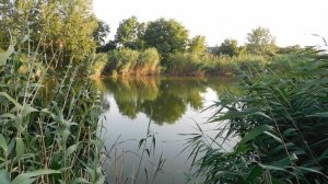 08=08=2025 ПРИРОДА  ИИИИ  СС   (54)