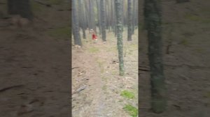 Гриб Кальмаро 1 серия.mp4