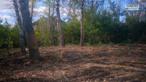 Снос ветхих объектов