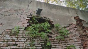 Единственный тренер по картингу в Комсомольске уволился из-за равнодушия чиновников