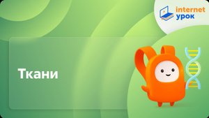 Ткани. Видеоурок по биологии 8 класс