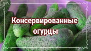 Консервированные огурцы.