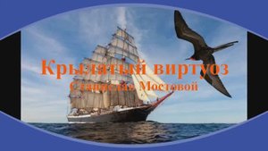 Крылатый виртуоз