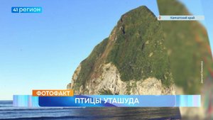 Новости Камчатки за 11 сентября 2025 года