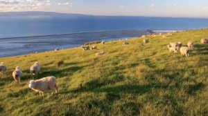 Secret Garden - Serenade to Spring/Серенада весне