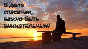 В деле спасения, важно быть внимательным!