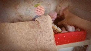 Делаю комнату для Лины(зачем...😏🤫)