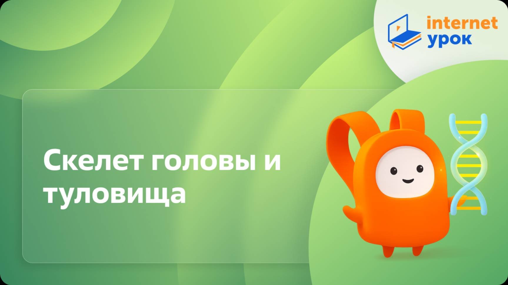 Скелет головы и туловища. Видеоурок по биологии 8 класс