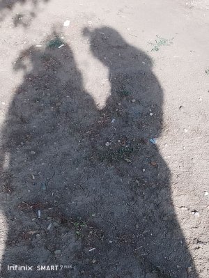 мнаопои