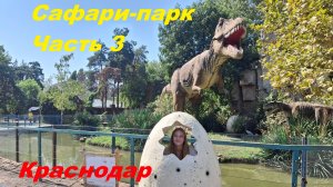 Сафари-парк, часть 3 Краснодар #сафари #юг #парк #краснодар