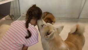 несколько зоопарков Таиланда
