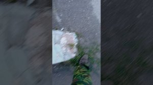 видео стадион в балашове разноска  и раздача газет от владыки  тарасия  церковных газет