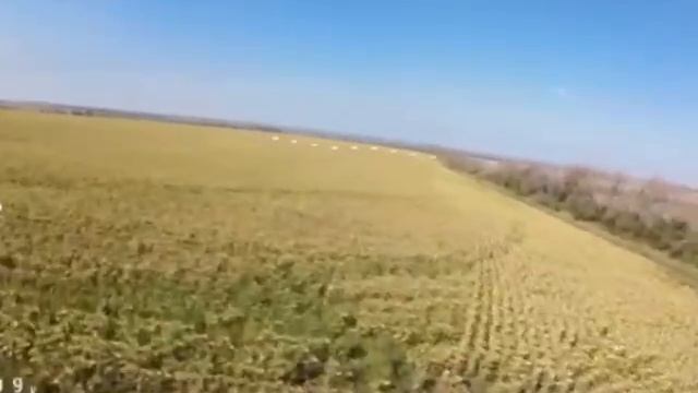 Украинский FPV-дрон перехватчик снимает прилёта бпла-камикадзе ”Молния” по а/м с ВСУ смотреть онлайн
