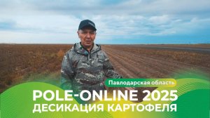 Десикация картофеля | Pole-Online 2025 #картофель#агро #казахстан