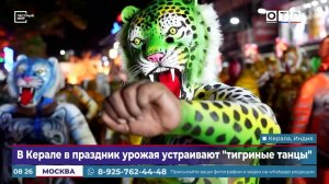 В Керале в праздник урожая устраивают «тигриные танцы»