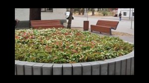 МАРИНА ЦВЕТАЕВА
Вот опять окно,
Где опять не спят.
Может — пьют вино,
Может — так сидят.
Или просто