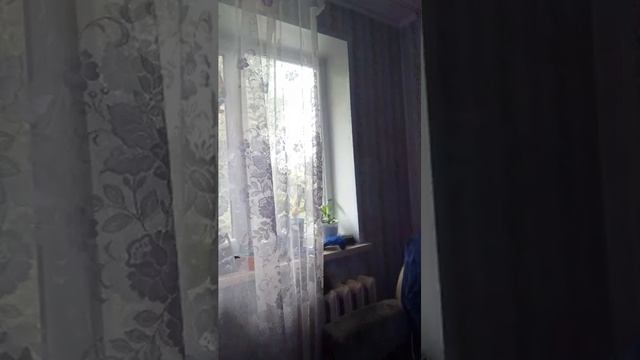 прямой эфир