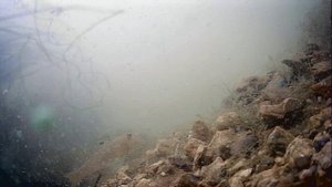 1000000827.mp4Волга гл.1м.10.09.2025г.