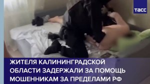 Жителя Калининградской области задержали за помощь мошенникам за пределами РФ