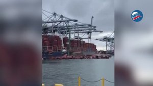 Разгрузка контейнеровоза в Калифорнии обернулась ЧП