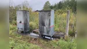 В Поморье задержали подростков, которые обвиняются в поджоге на железнодорожной станции