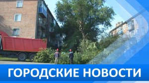 Городские новости 11 сентября 2025