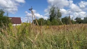 д. Цибино, ул. Весенняя