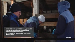 Предупредить болезни 10-09-2025