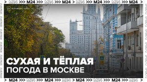Температура составит 23 градуса в Москве на День города - Москва 24