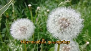 Светлана Протопопова Махтанабын