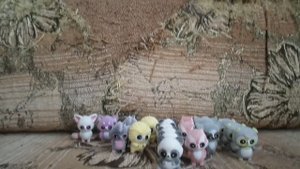 Моя коллекция фигурок Юху и его друзья из чупа-чупс