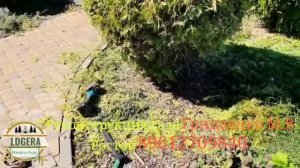 Реконструкция сада Ростов на Дону.Грицаенко.М.В.Приглашайте,заказывайте,обсудим🕺