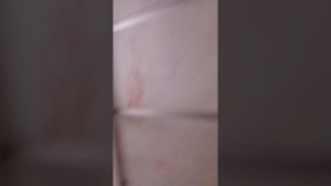 тили-тили-бом пранк я смотрю до конца чтобы узнать правду