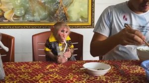Обезьянка МАЛЕХА ест вилкой в РЕСТОРАНЕ Сбежались все поглазеть Запила молоком СМЕШНАЯ КОМЕДИЯ