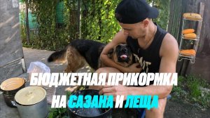 Запариваю кукурузу | прикормка на сазана | 30р\кг