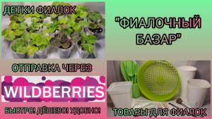 "ФИАЛОЧНЫЙ базар".