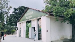 Новый Херсонес Таврический в Севастополе 2025 год