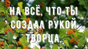 Твёрдо я верю - попурри - минус мой