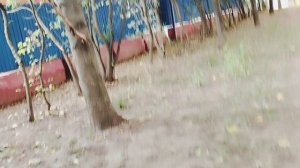 Что, сказать **но с монтировкой **