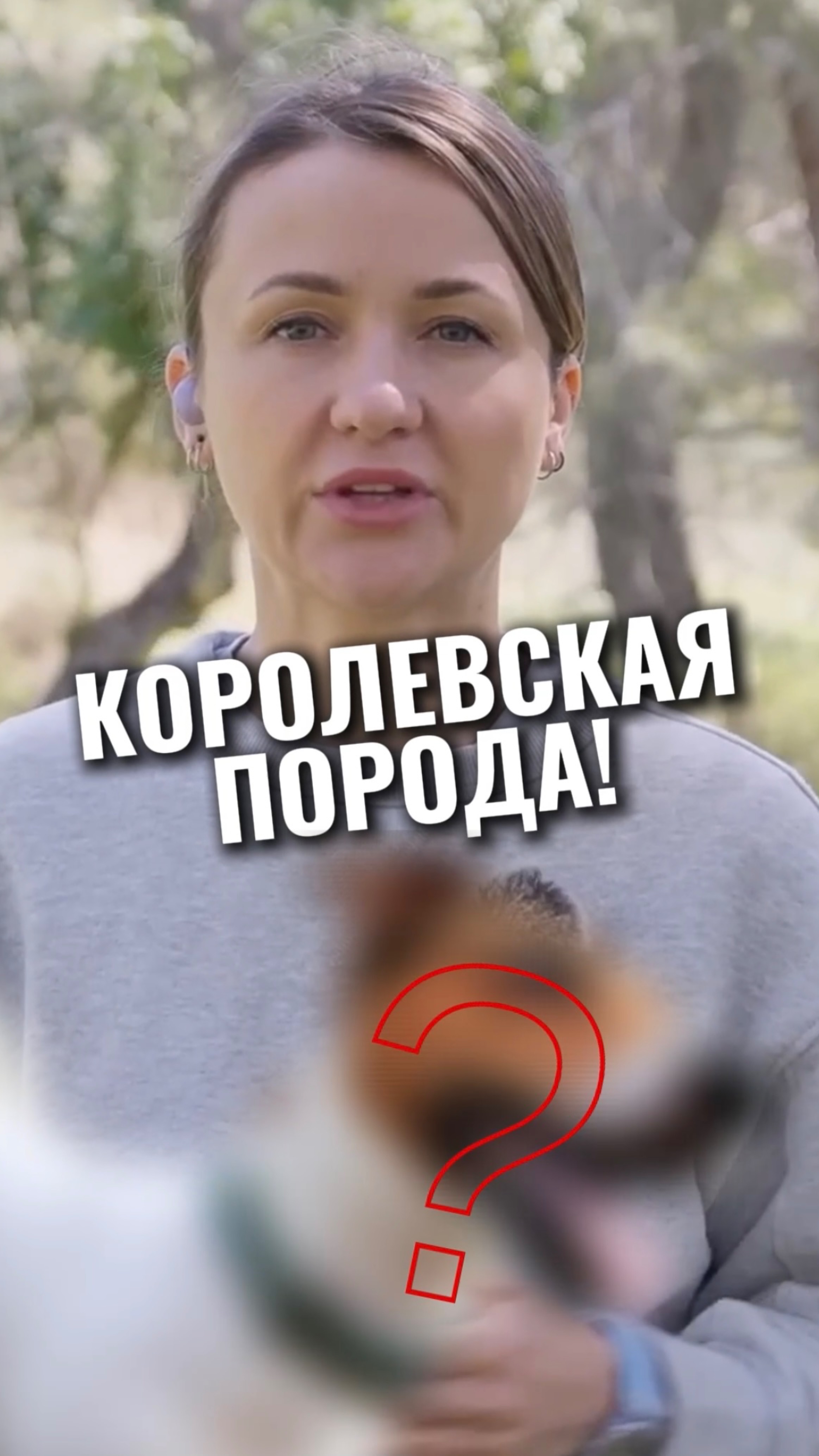 🎁Бесплатные уроки. Жми сюда! смотреть онлайн