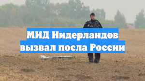 МИД Нидерландов вызвал посла России