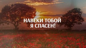 Живем в этом мире надеждой