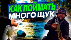 ЩУКИ КЛЮЮТ ПОД НОГАМИ! МНОГО рыбы У БЕРЕГА! НЕ ОЖИДАЛ! ВОТ ЭТО РЫБАЛКА! Что ж я раньше так не ловил
